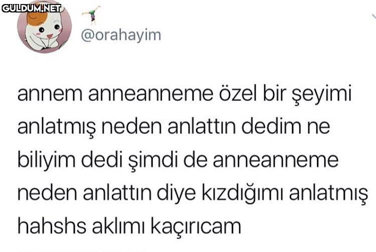 babaya anlatılan versiyonu...