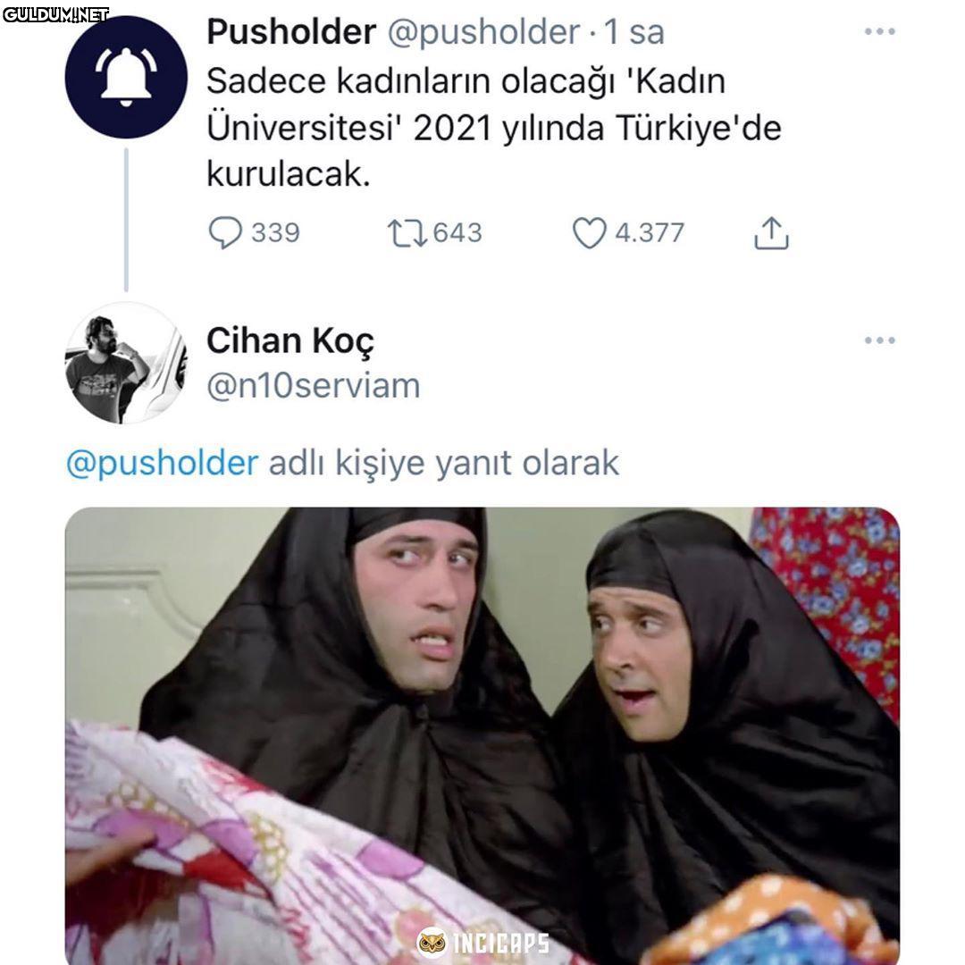 Pusholder @pusholder · 1...