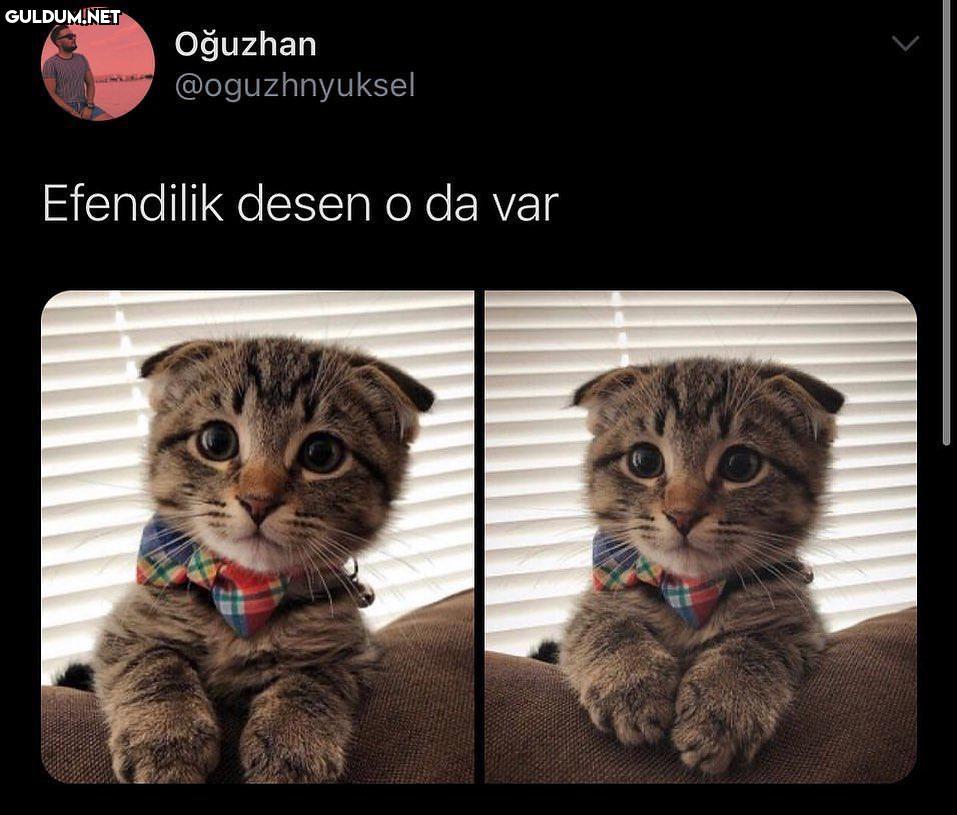 Oğuzhan @oguzhnyuksel...