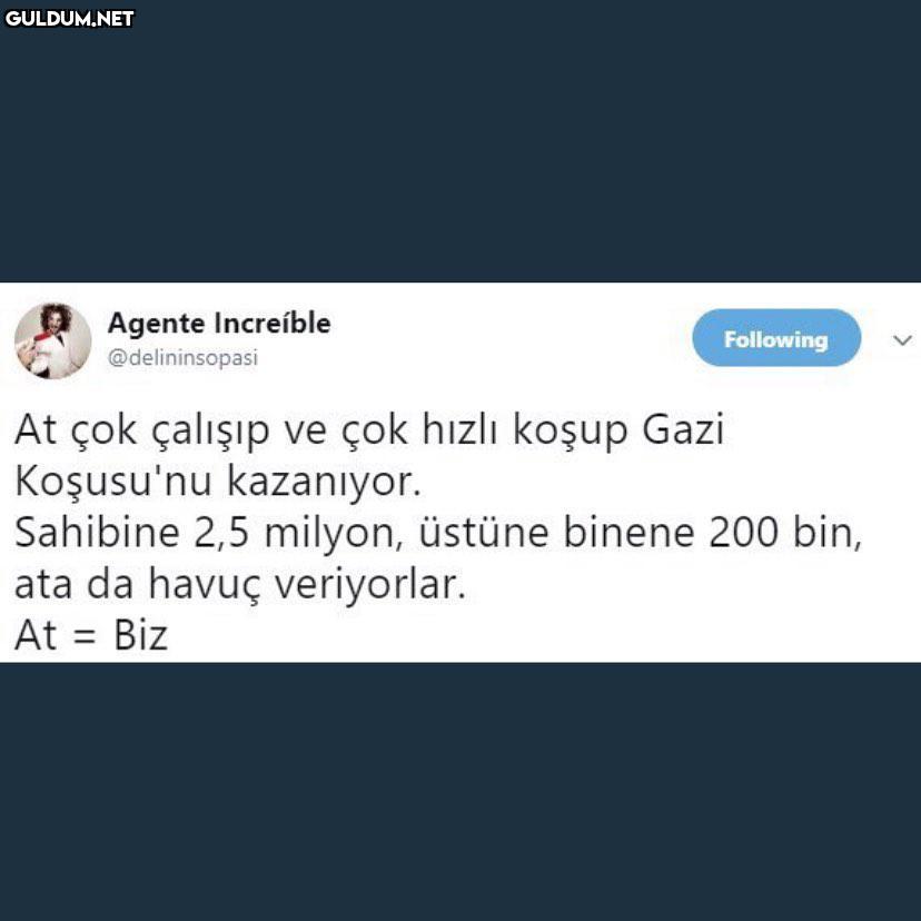 Agente Increíble...