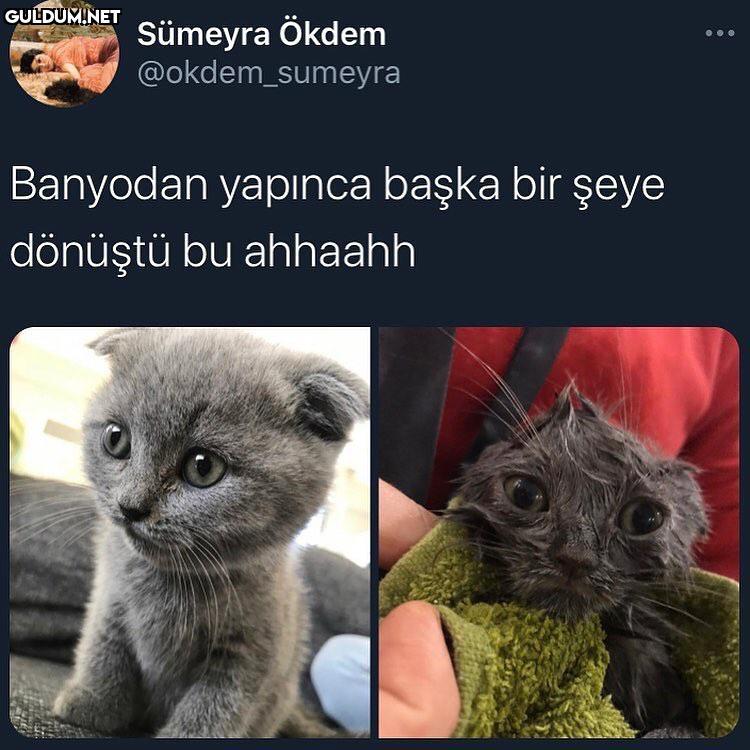 şu sıfata bak ya Sümeyra...