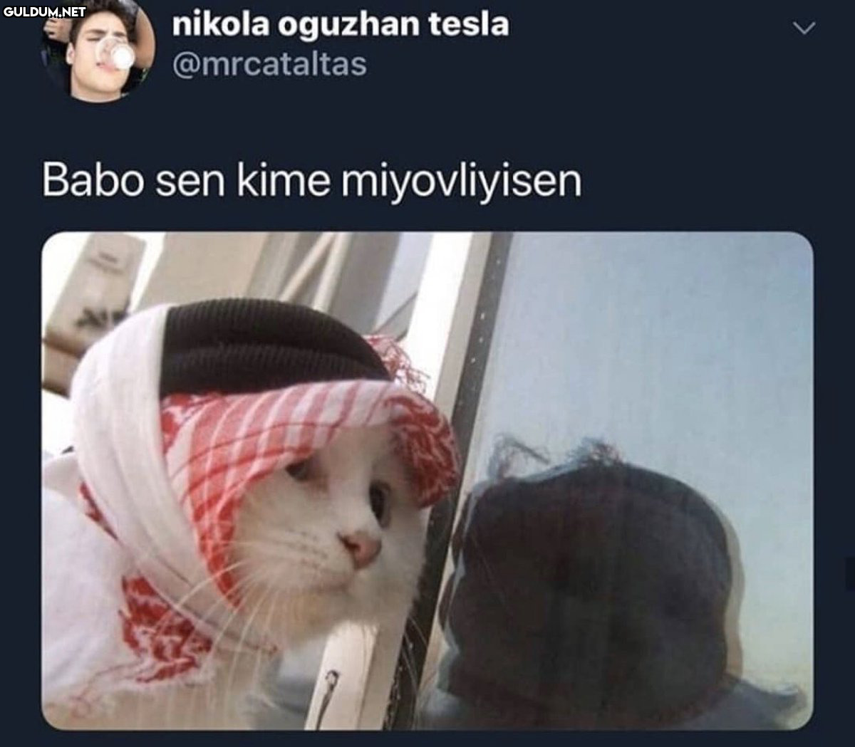 RT @mevzukurtlere1:  ...