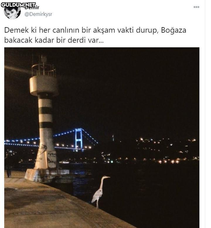 Demir 000 @Demirkysr Demek...