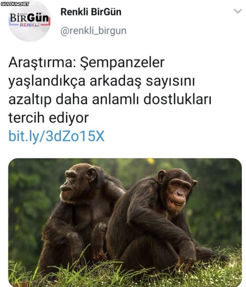 RT @TimeforCpl: Aa bu şey...