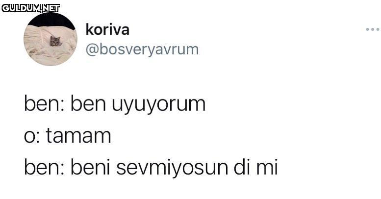 iyi geceler koriva...