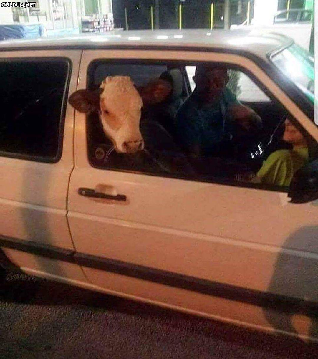 Ablacım güzel ablacım...