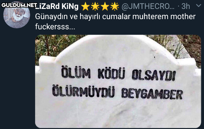 LizaRd KİNg ****...