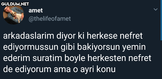 amet @thelifeofamet...