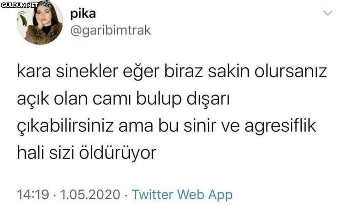 pika @garibimtrak kara...