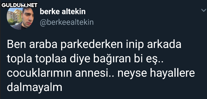 berke altekin...
