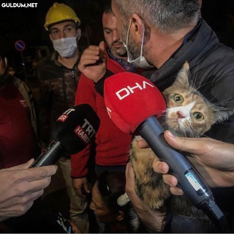Tipini yediğim ❤️ DHA A...