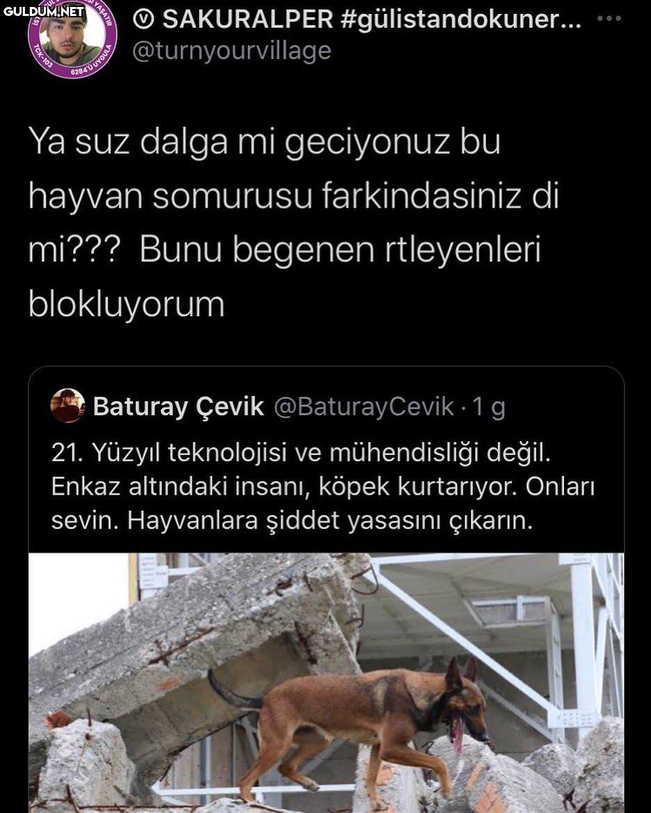O SAKURALPER...