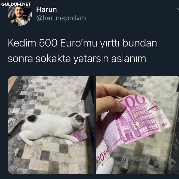 Oha 5.000₺ Harun...