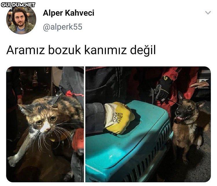 Alper Kahveci @alperk55...