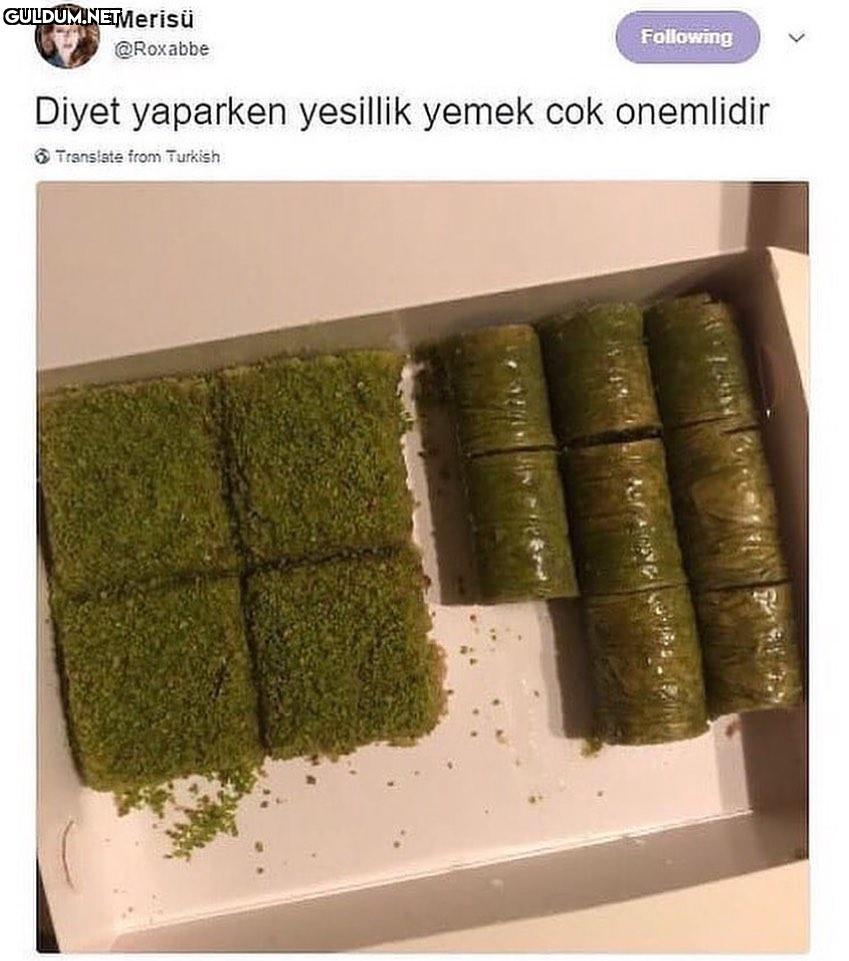 Canım çekti Merisü...