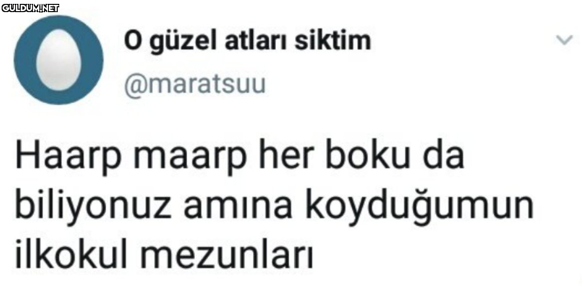 O güzel atları siktim...