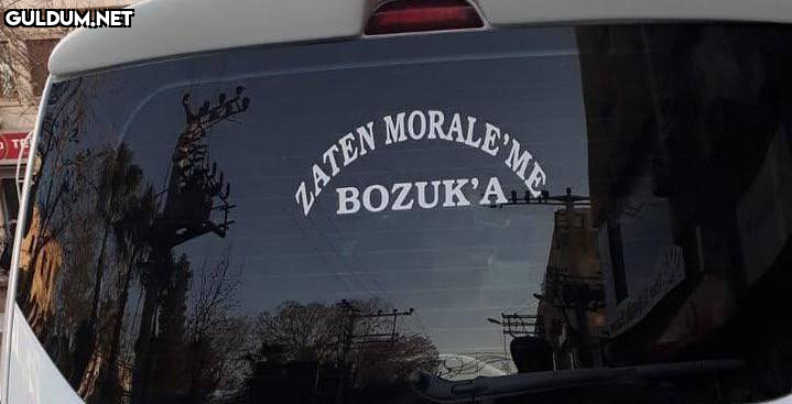 RT @mevzukurtlere1:  ...