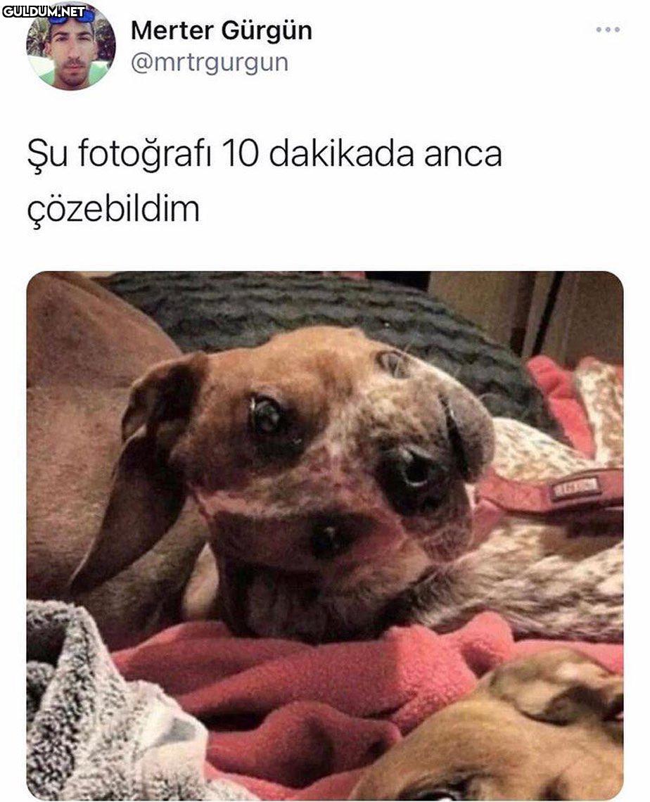 ne bu la @welcometomagara...