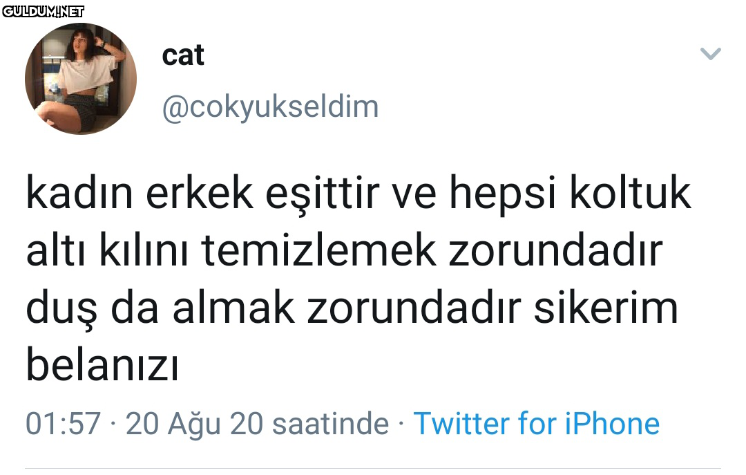 RT @neguzelsovdun:   cat...