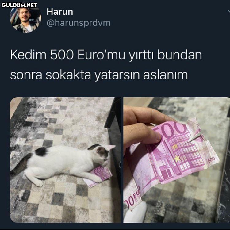 Gitti 5 bin tl :d Harun...