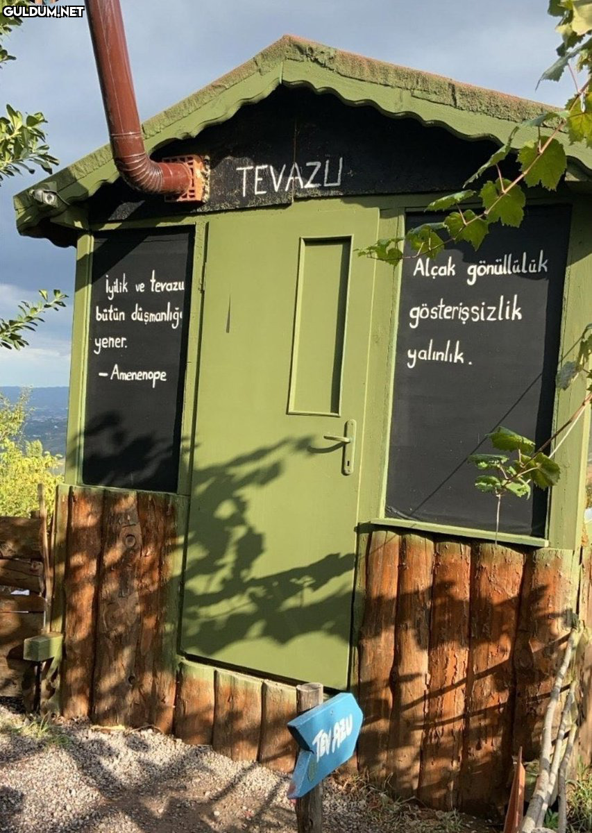 Aynı kişi ertesi gün...