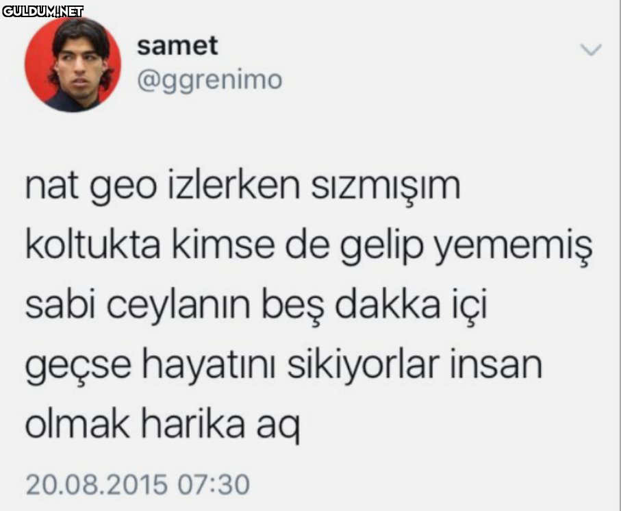 samet @ggrenimo nat geo...