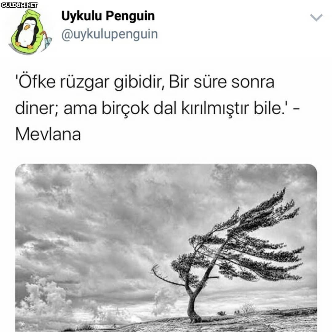 Ne Güzel Demiş 🙏 Uykulu...