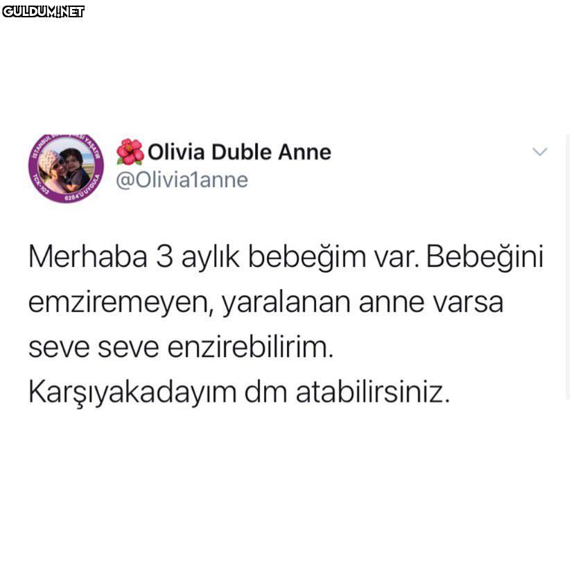 SOlivia Duble Anne...
