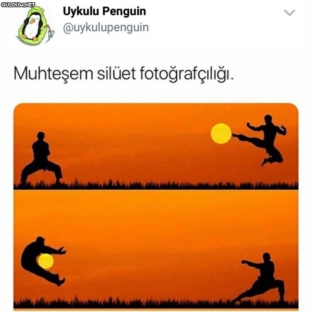 Uykulu Penguin...