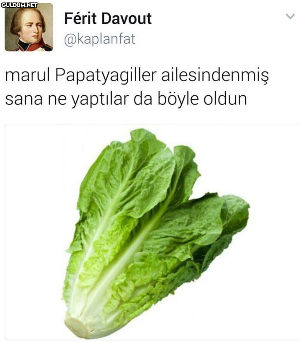 Férit Davout @kaplanfat...