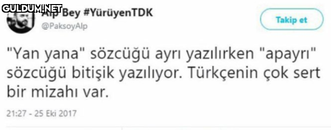 Alp Bey #YürüyenTDK...
