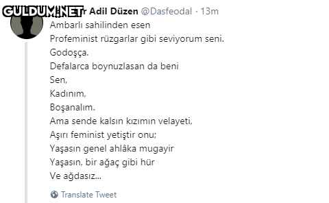Shankar Adil Düzen...