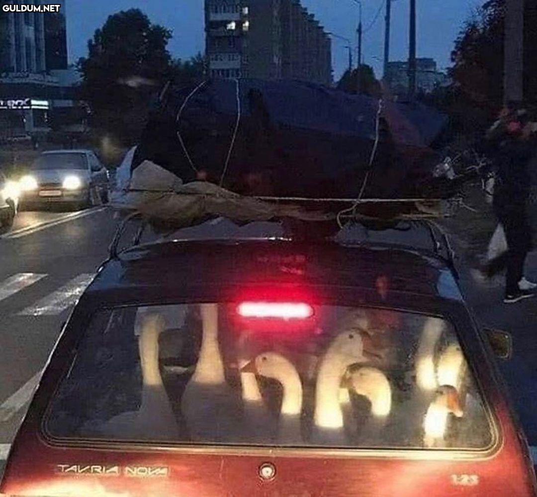 anlamsız fotoğraflar 89407...