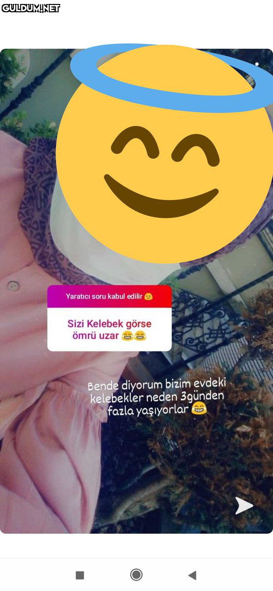 Mizah desen var   Yaratıcı...