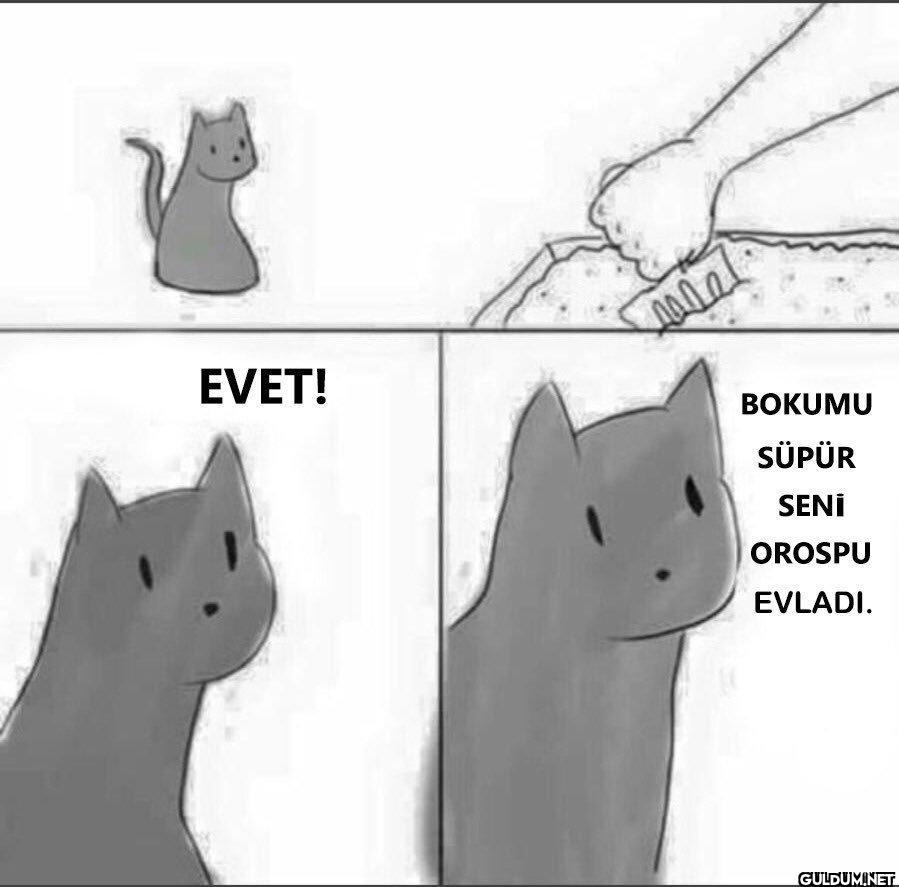 EVET! BOKUMU SÜPÜR SENİ...