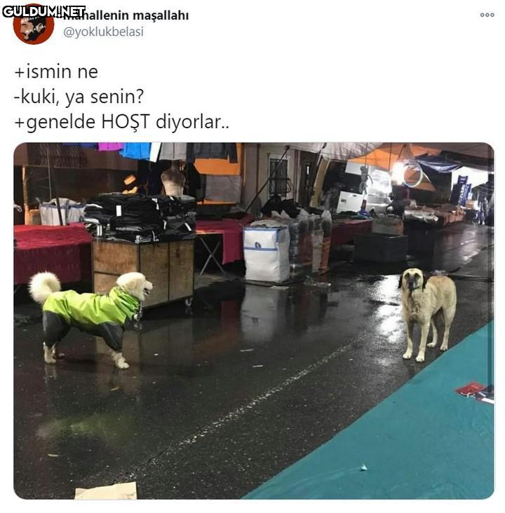 mahallenin maşallahı...
