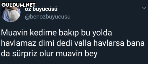 oz büyücüsü @benozbuyucusu...