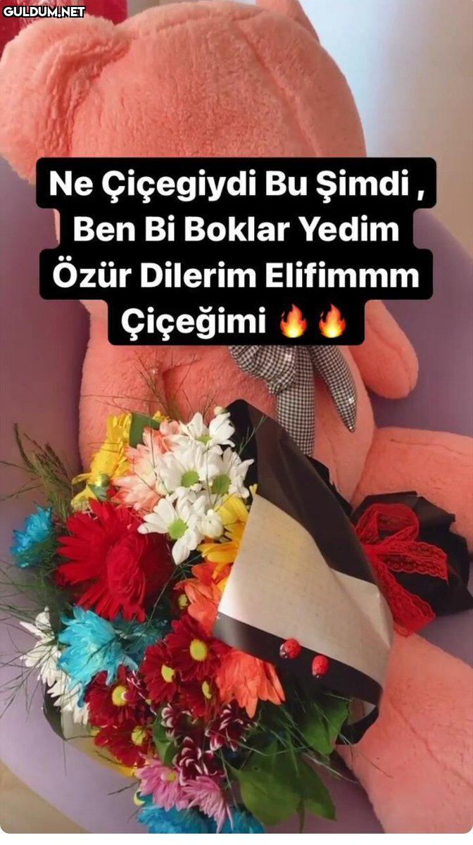 Nasıl yani   Ne Çiçegiydi...
