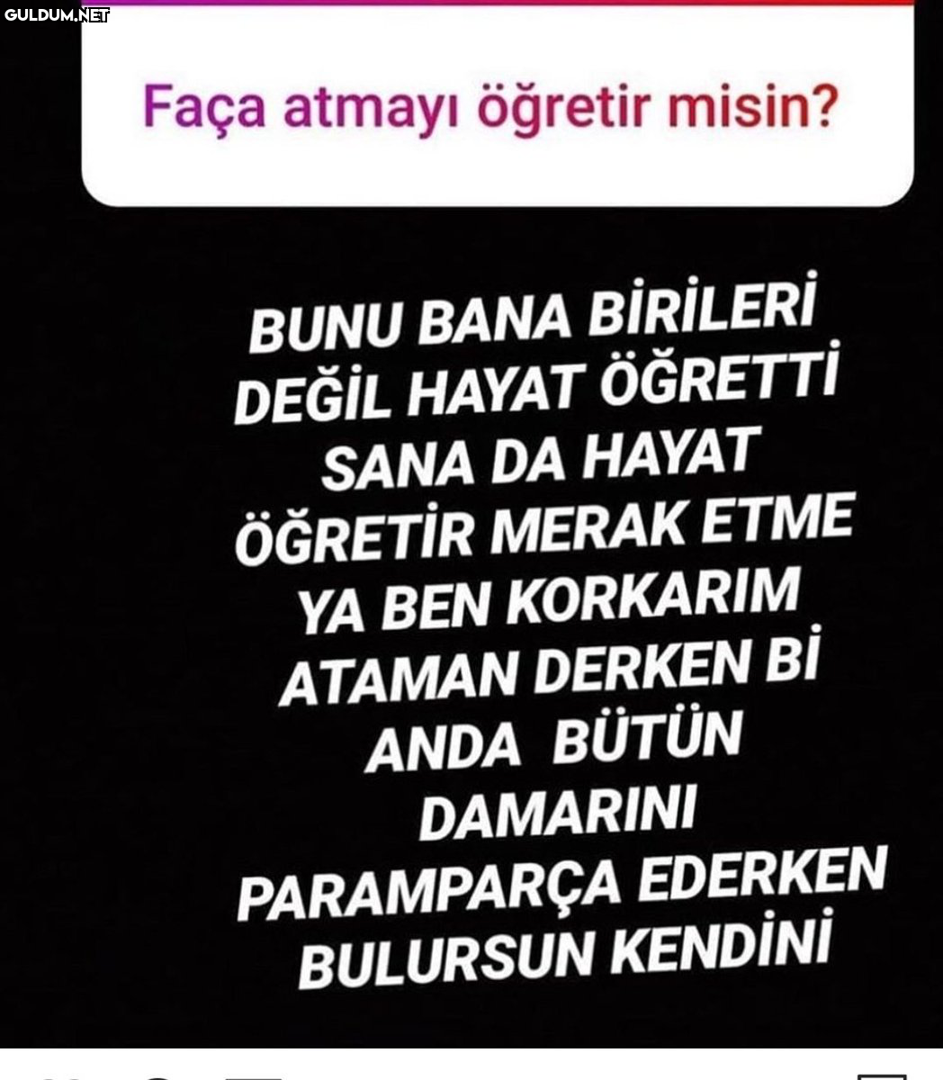 nE   Faça atmayı öğretir...