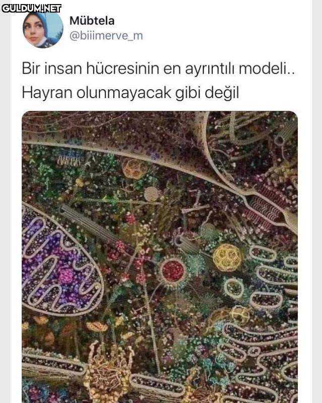 Mübtela @biiimerve_m Bir...