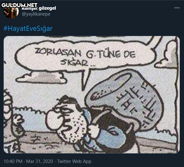 kamşat gözegel...