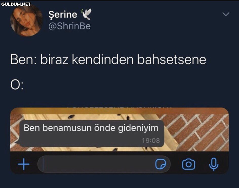RT @mevzukurtlere1:  ...