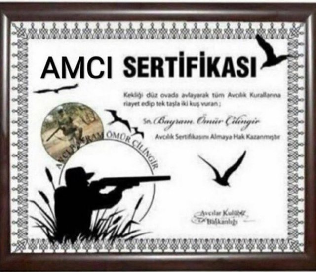 Amcı sertifikası.