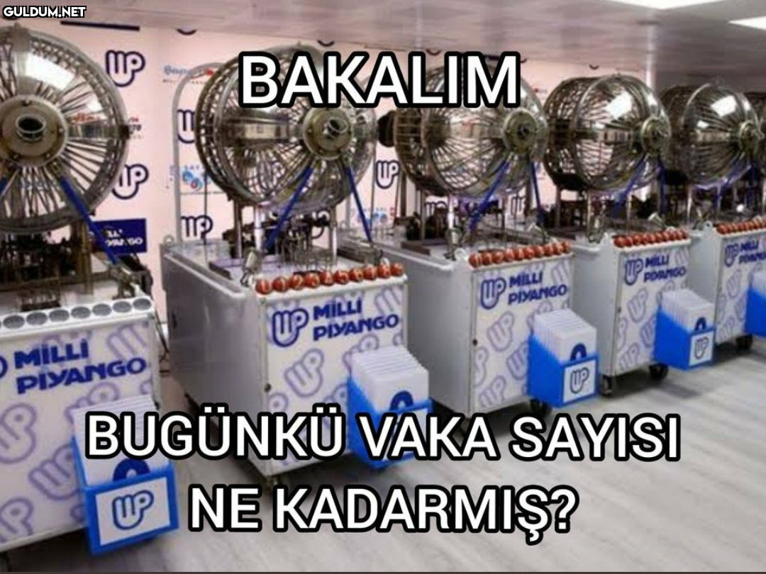 UP BAKALIM 14 O MILLI...
