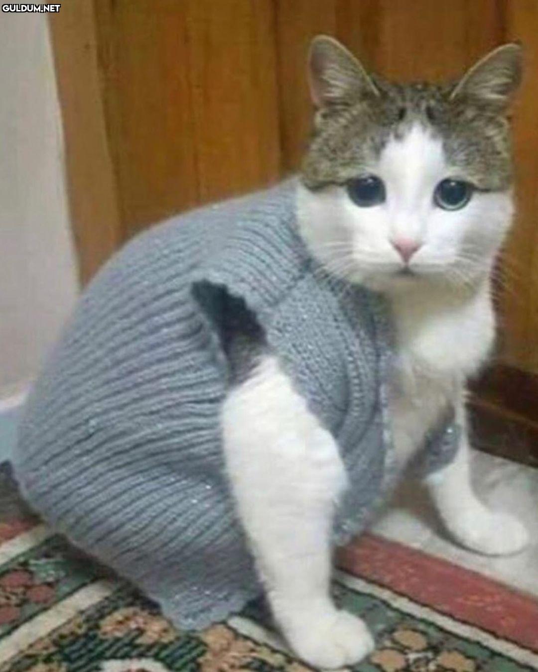 Gün itibariyle artık...