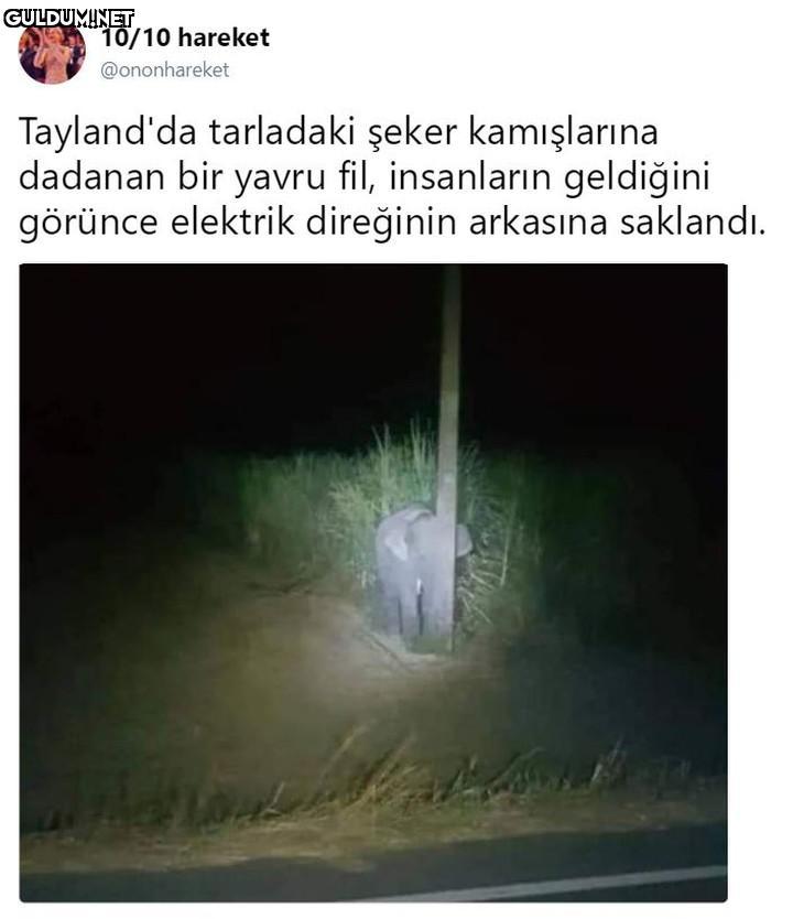 10/10 hareket @ononhareket...