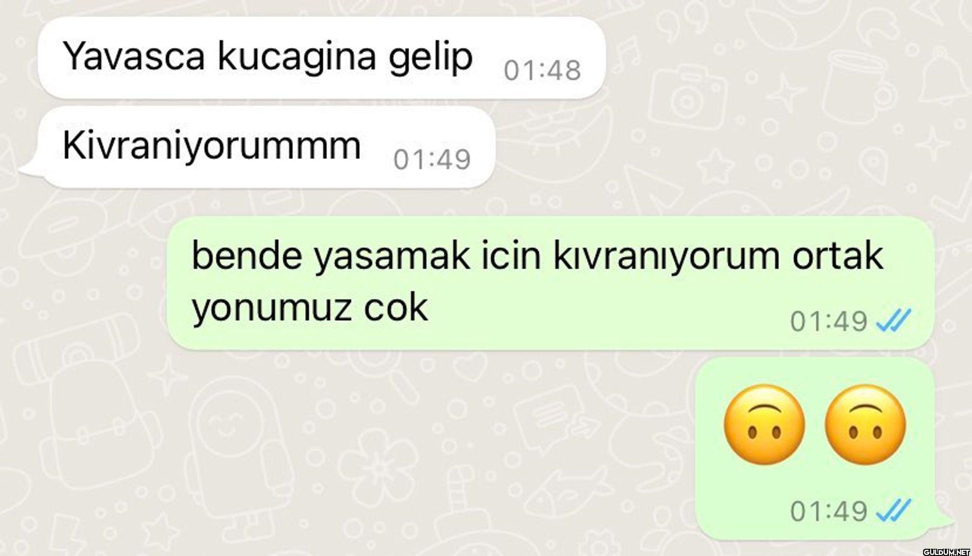 Yavasca kucagina gelip...
