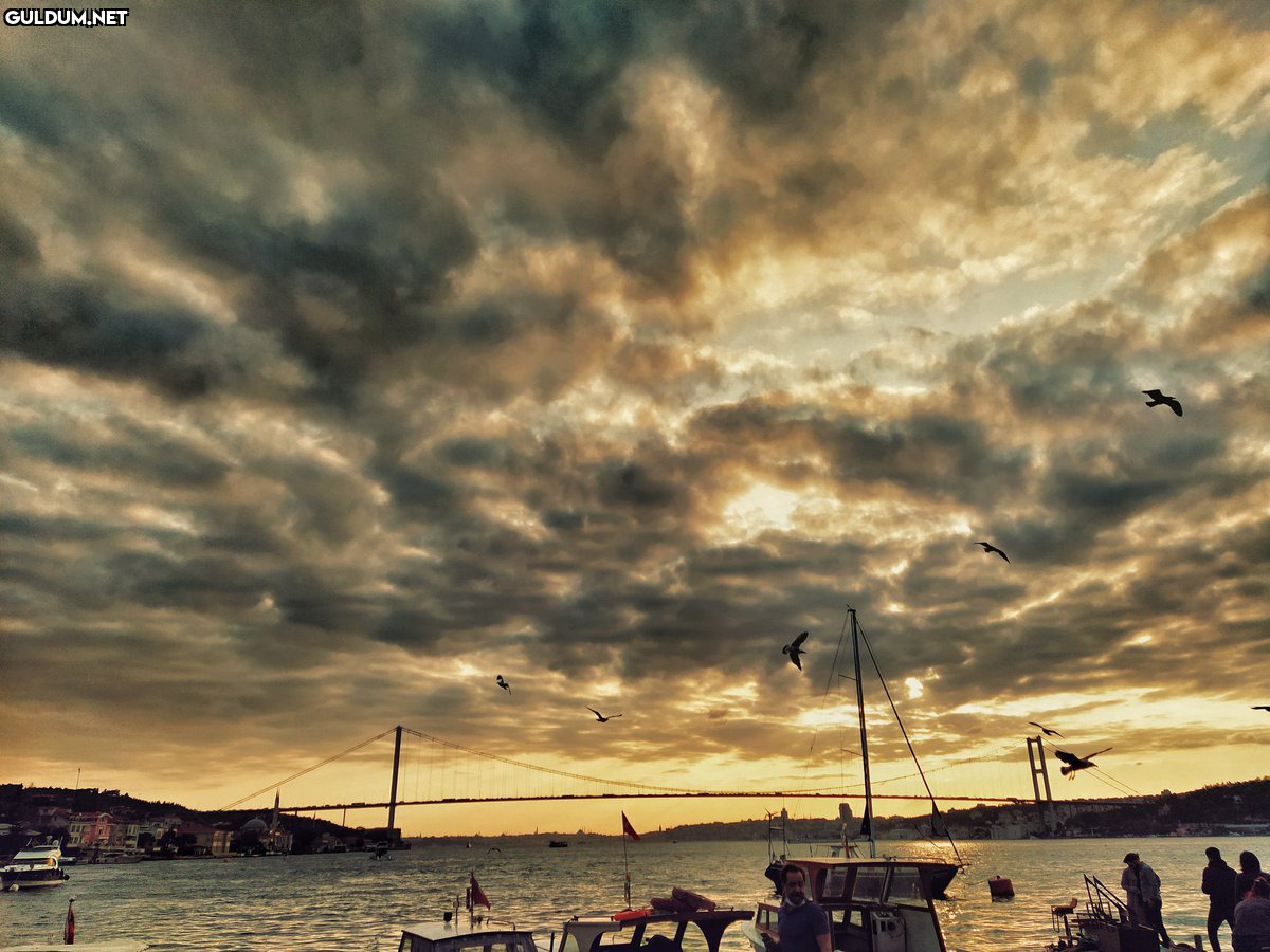 RT @photooboard: İnsana en...