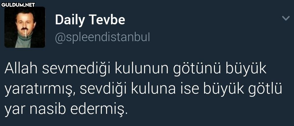 Daily Tevbe...
