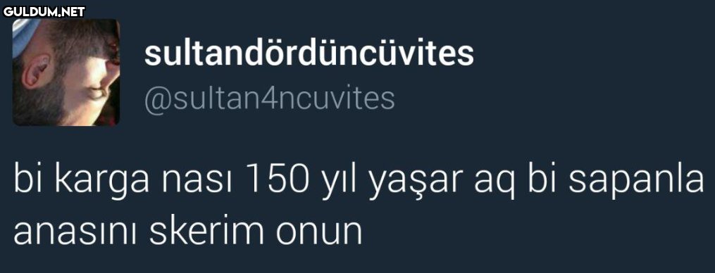 sultandördüncüvites...